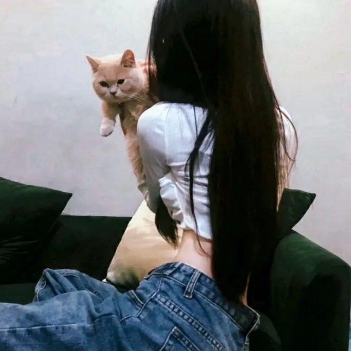 鲭鱼罐头